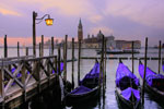 Shore Excursions